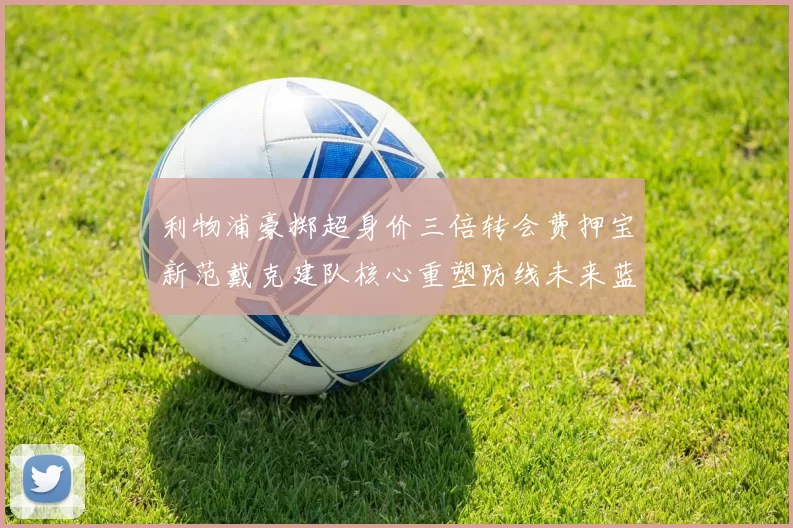 利物浦豪掷超身价三倍转会费押宝新范戴克建队核心重塑防线未来蓝图