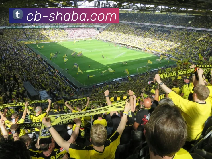 沙巴体育平台APP 体育赛事宣传图